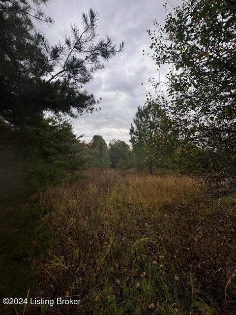 Nolin Estates Rd, Clarkson, Kentucky image 3