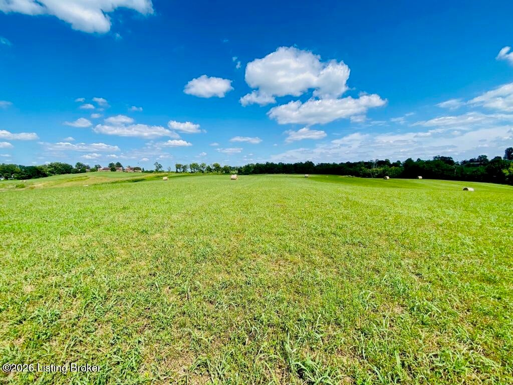Photo of 419 Perryville Rd, Springfield, KY 40069 (MLS # 1729409)