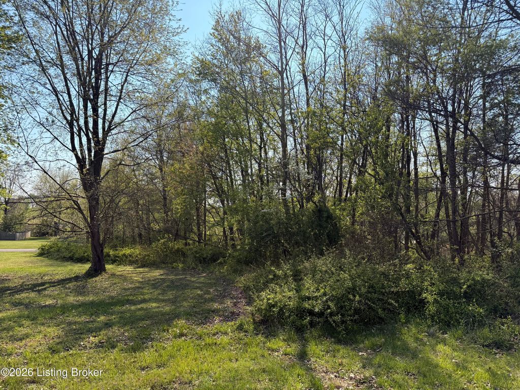 Photo of 0 Sante Fe Trail, Elizabethtown, KY 42701 (MLS # 1713767)