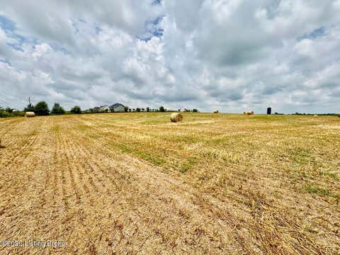 Vacant Land For Sale - 1656-1 Old Perryville Loop<br/> Springfield, KY 40069