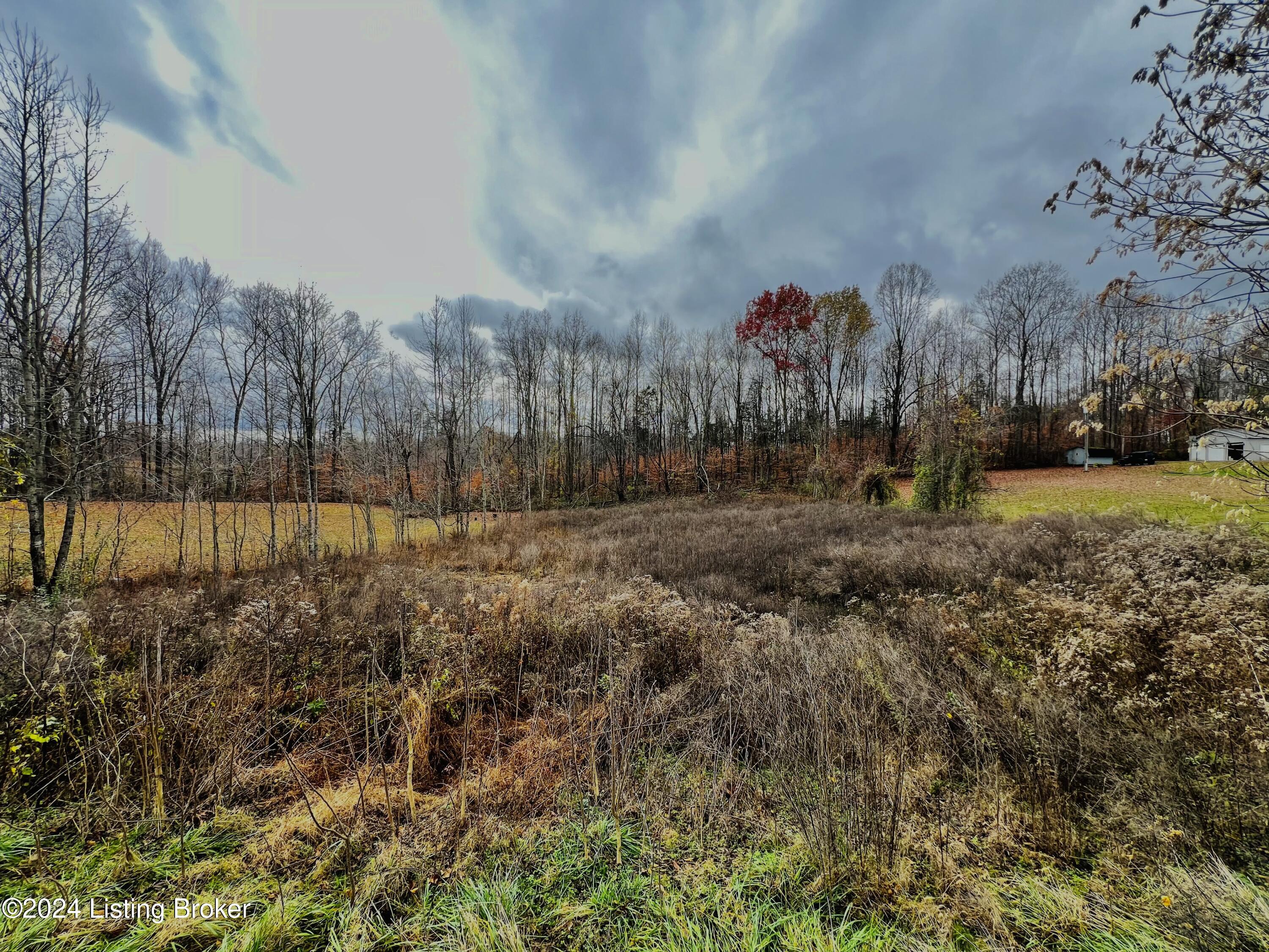 22 Hickory Ln, Russell Springs, Kentucky image 1