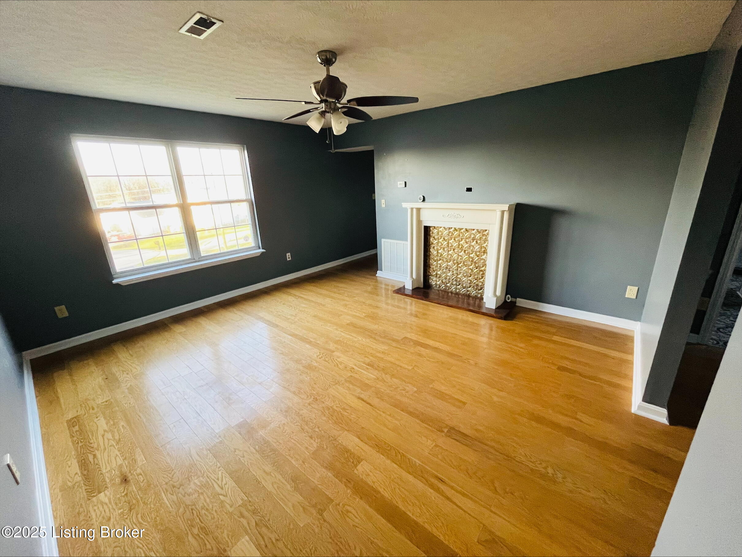 223 Lea Ct, Rineyville, Kentucky image 11