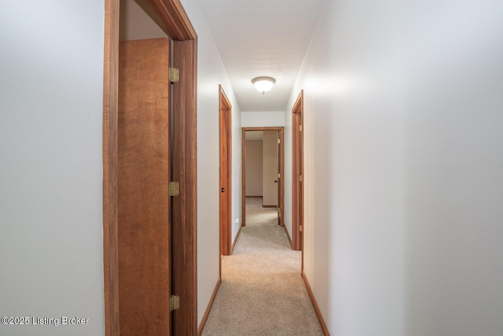 124 Pleasant Colony Dr, Elizabethtown, Kentucky image 39