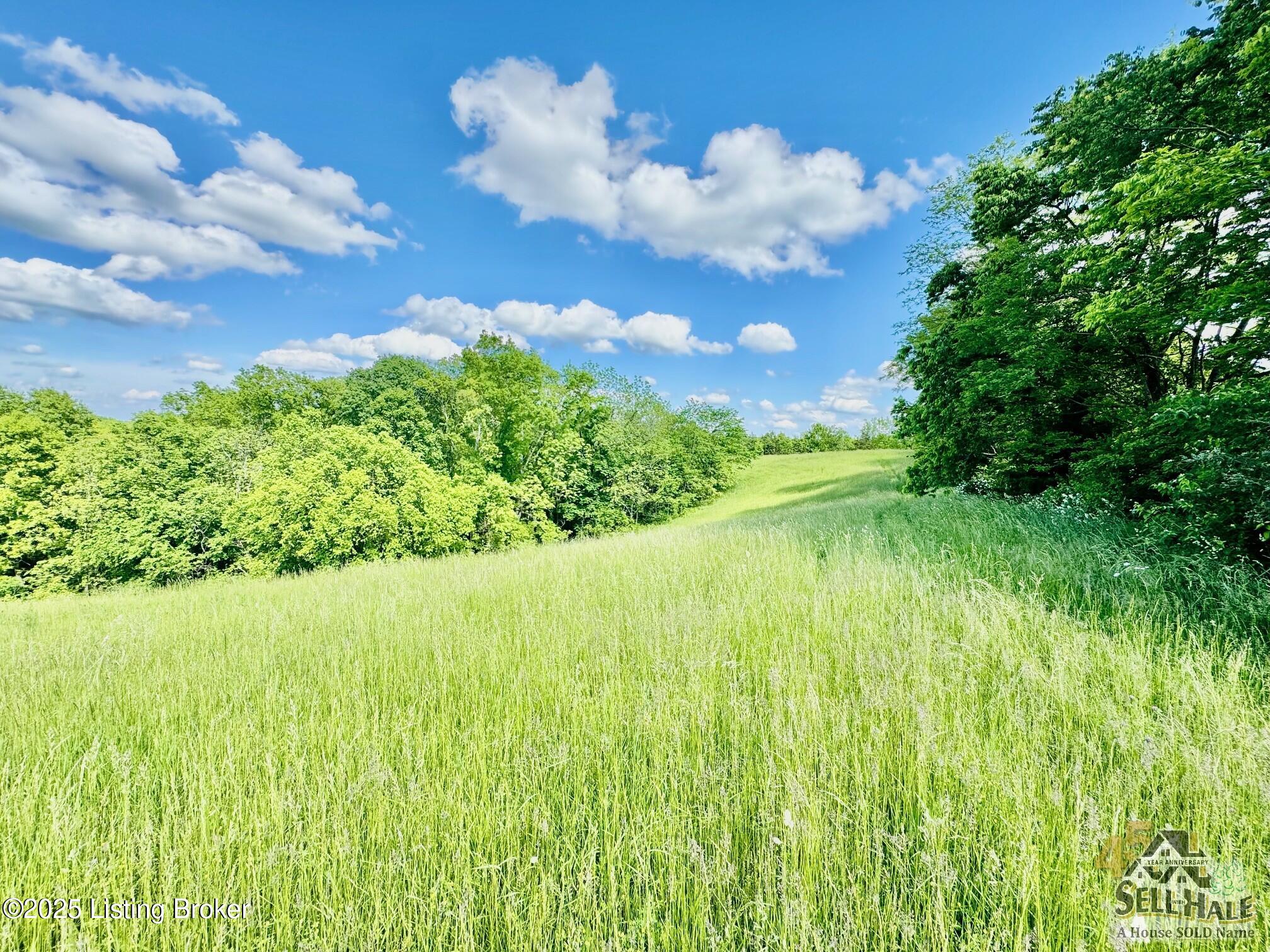 3200 Chaplin Rd, Willisburg, Kentucky image 10