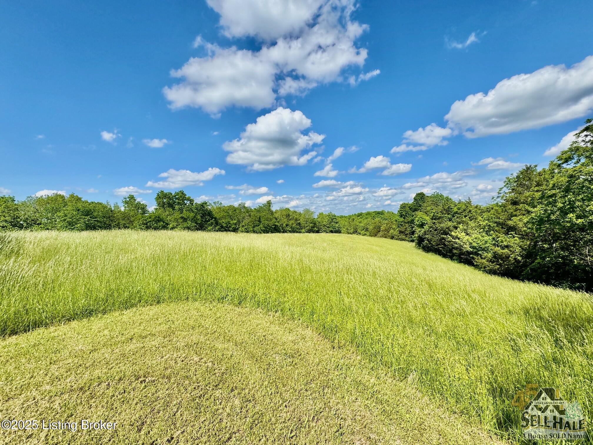3200 Chaplin Rd, Willisburg, Kentucky image 7