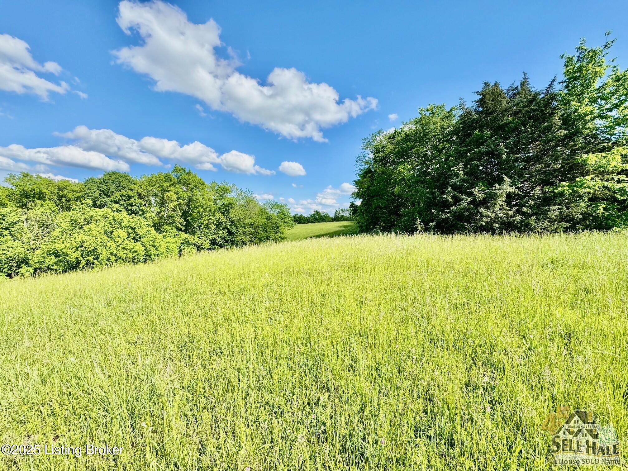 3200 Chaplin Rd, Willisburg, Kentucky image 9