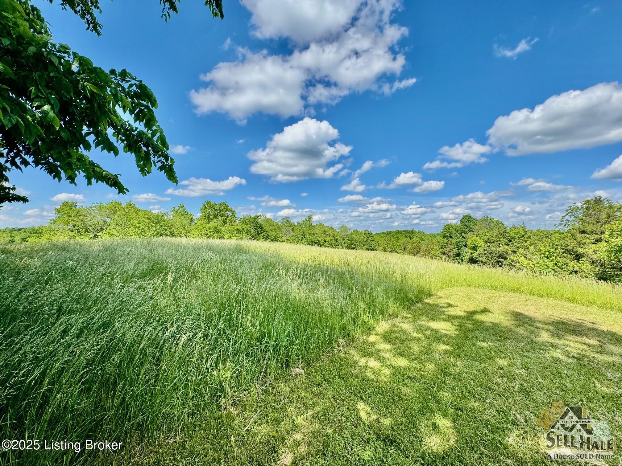 3200 Chaplin Rd, Willisburg, Kentucky image 6