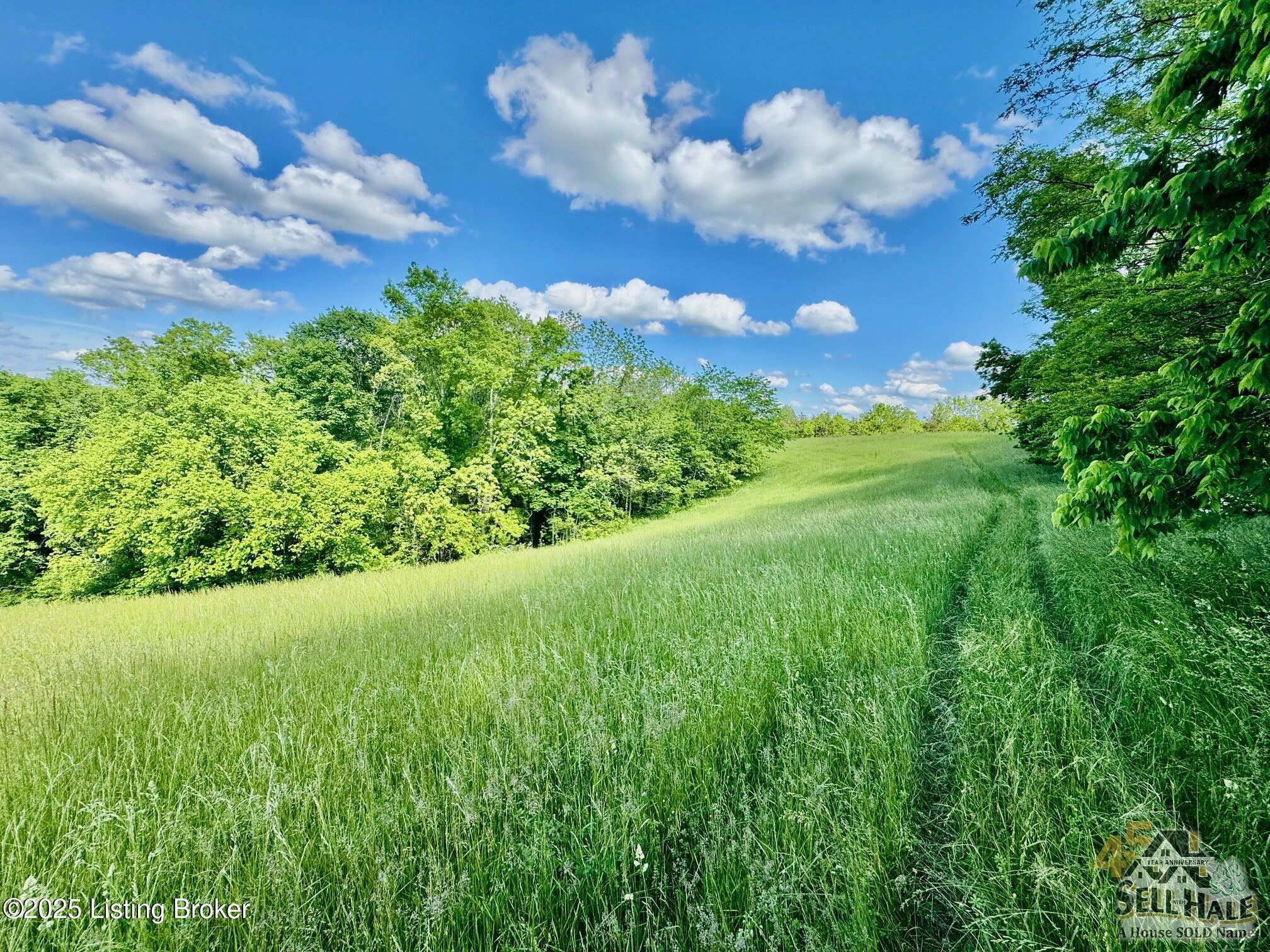 3200 Chaplin Rd, Willisburg, Kentucky image 11