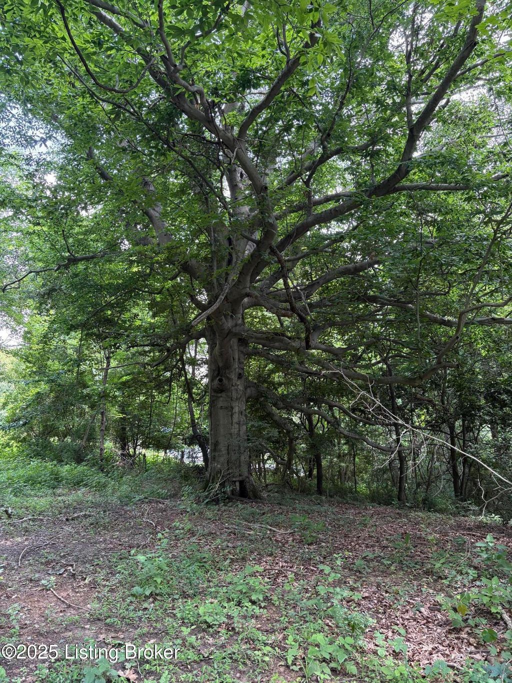Photo of 6401 New Cut Rd, Crestwood, KY 40014 (MLS # 1690154)