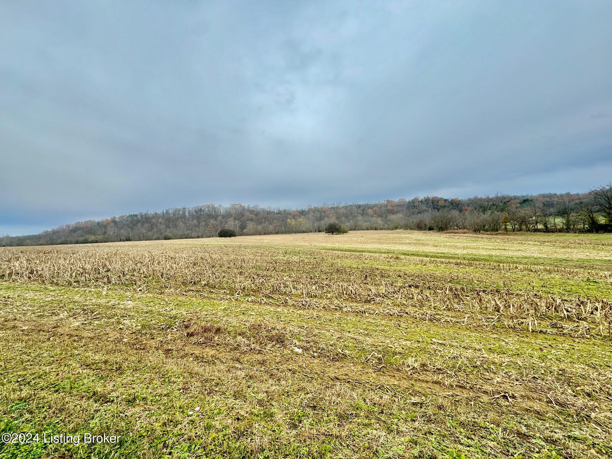 3 Grundy Home Rd, Springfield, Pennsylvania image 2