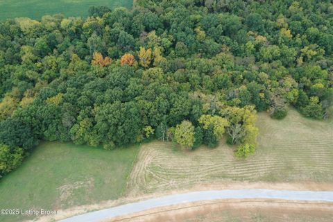 Vacant Land For Sale - 5000B Springfield Rd<br/> Nelson County, Bloomfield, KY 40008