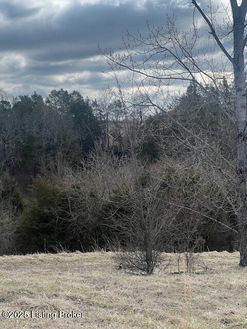 1180D Pattons Creek Rd, Pendleton, Kentucky image 3