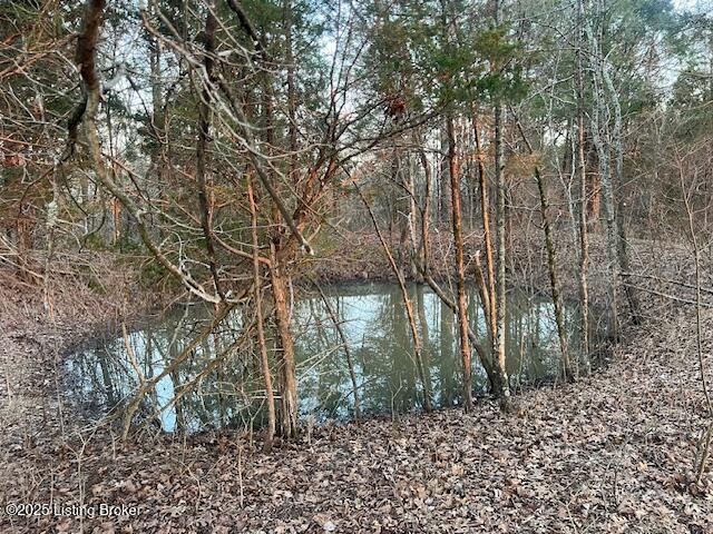 1180D Pattons Creek Rd, Pendleton, Kentucky image 6