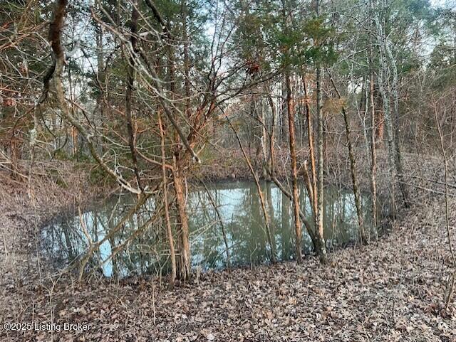 1180D Pattons Creek Rd, Pendleton, Kentucky image 2
