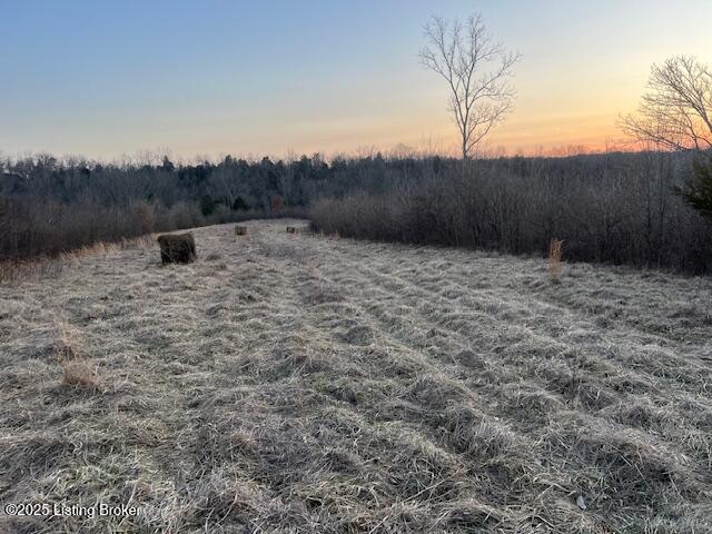1180D Pattons Creek Rd, Pendleton, Kentucky image 8