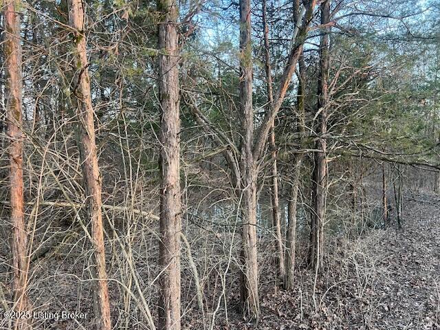 1180D Pattons Creek Rd, Pendleton, Kentucky image 5