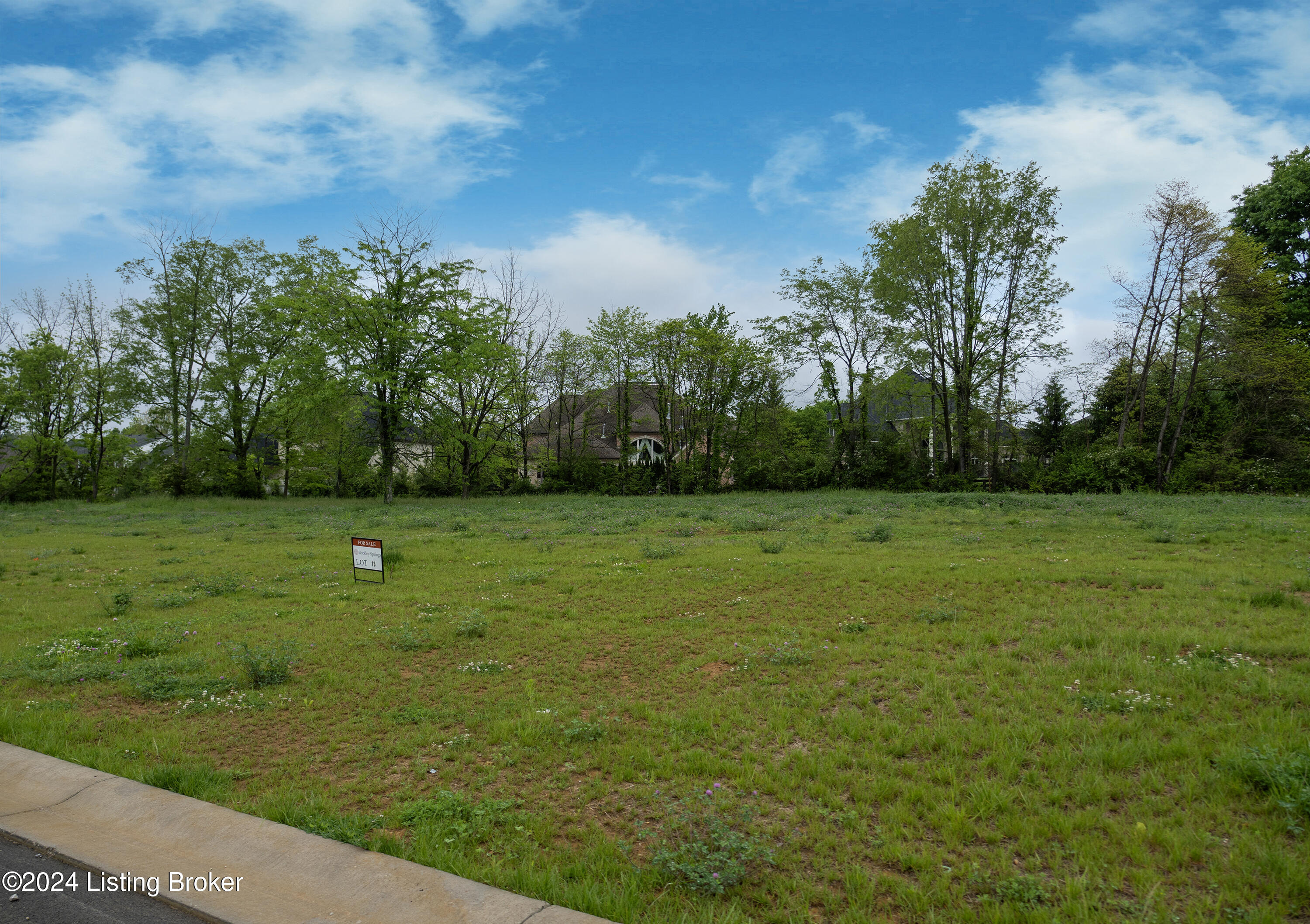 15119 Beckley  Springs Dr, Louisville, Kentucky image 5