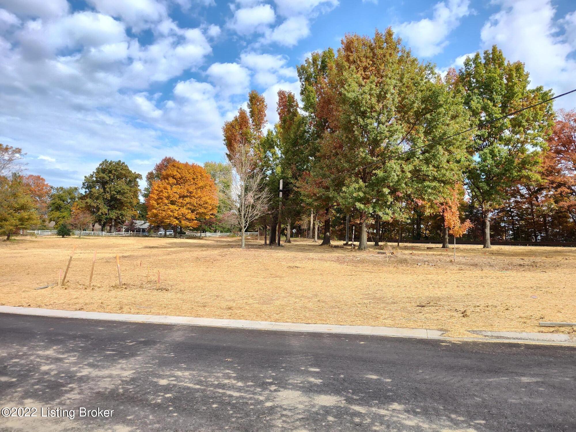 15119 Beckley  Springs Dr, Louisville, Kentucky image 8
