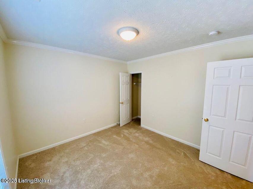 8602 Mill Spring Pl, Louisville, Kentucky image 18