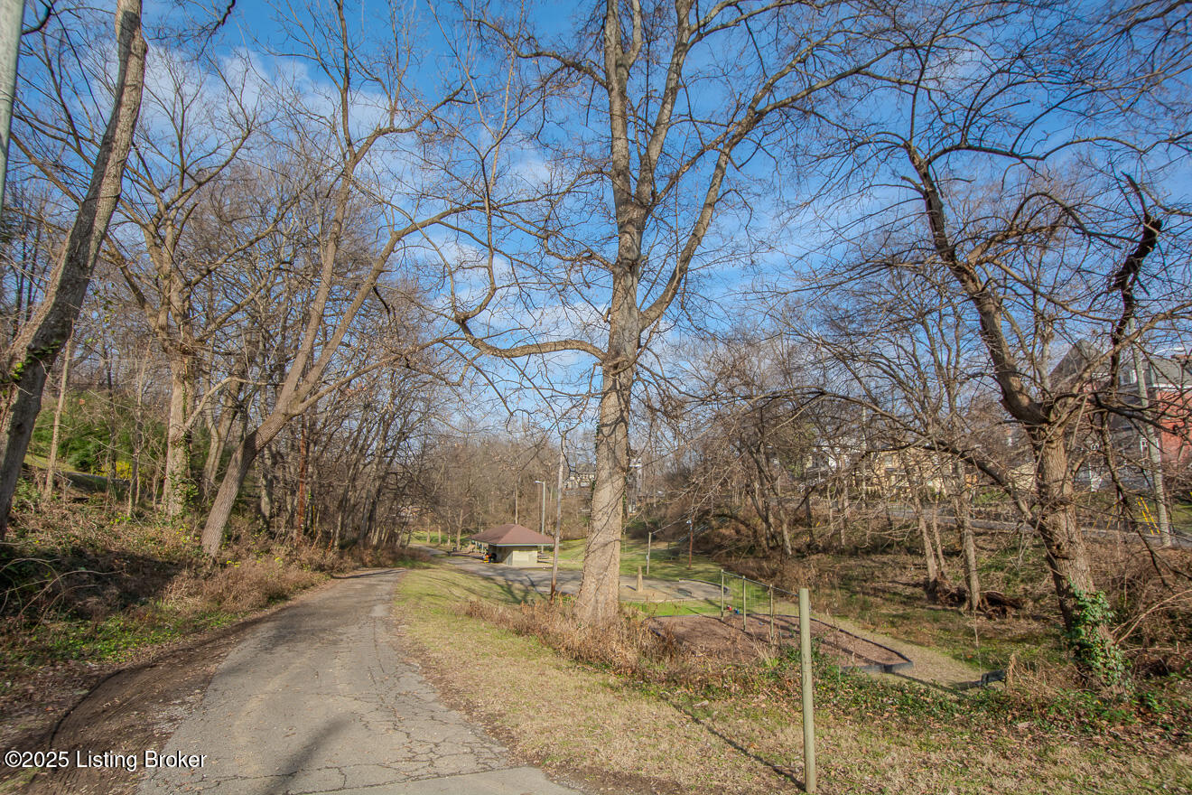 173 Coral Ave, Louisville, Kentucky image 47