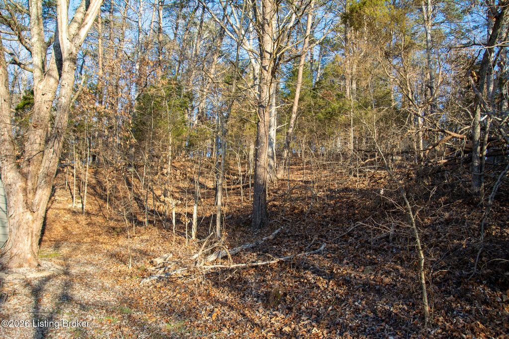 Photo of 9045 S Preston Hwy, Lebanon Junction, KY 40150 (MLS # 1709079)
