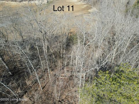 Vacant Land For Sale - 180 Barton Point Rd<br/> Grayson County, Clarkson, KY 42726