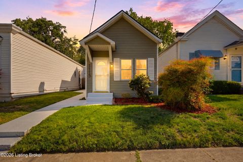 Photo of 1113 Lydia St, Louisville, KY 40217 (MLS # 1716400)