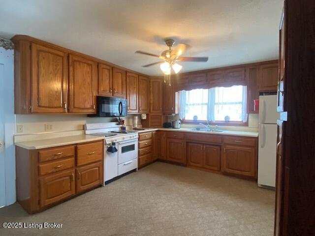 2640 Nat Rogers Rd, Boston, Kentucky image 5