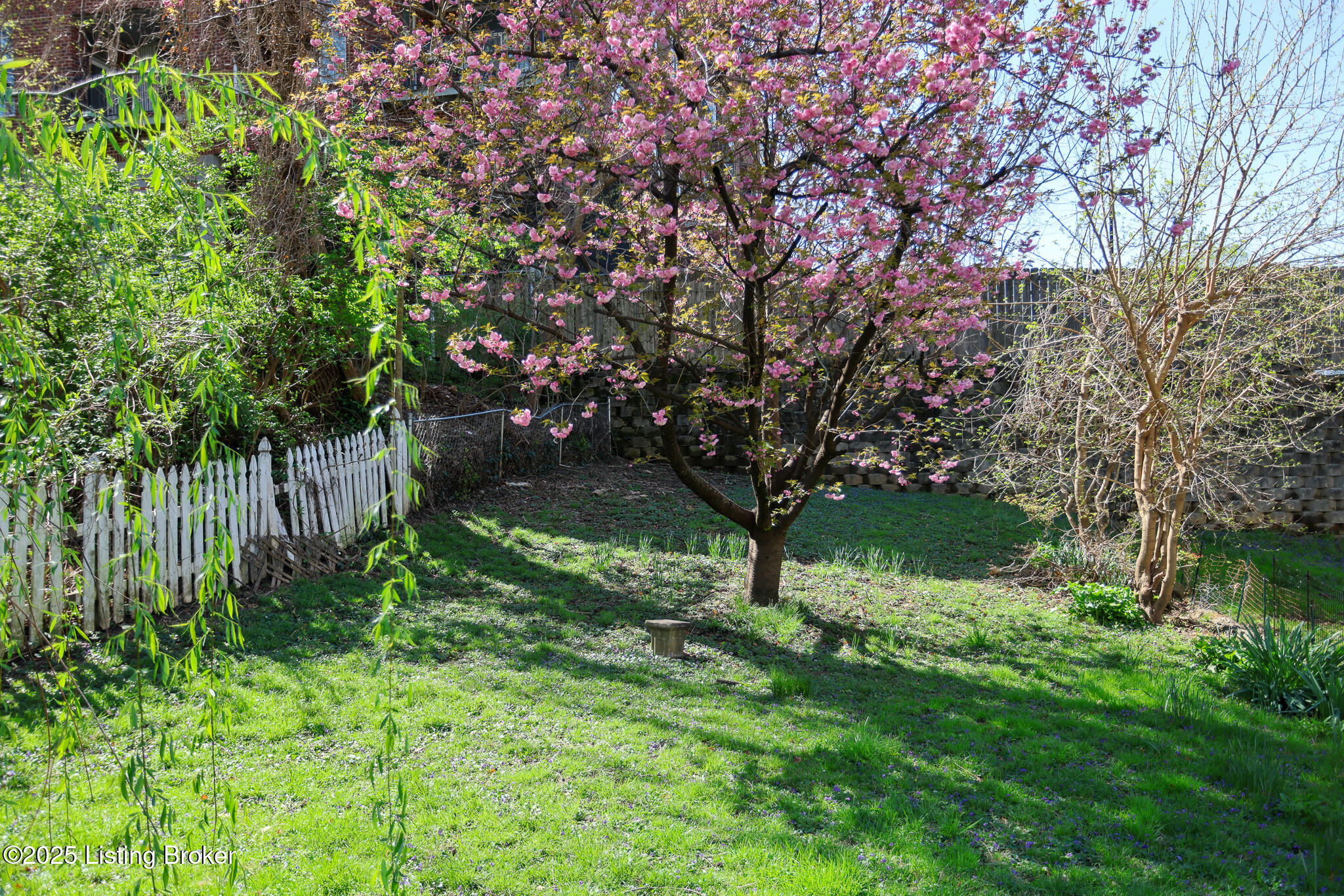 114 Vernon Ave, Louisville, Kentucky image 17
