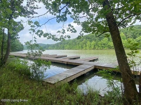 Vacant Land For Sale - 37 Conoloway Bay Dr<br/> Grayson County, Clarkson, KY 42726