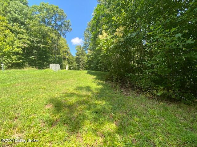 17 Tulip Poplar Ln, Leitchfield, Kentucky image 3