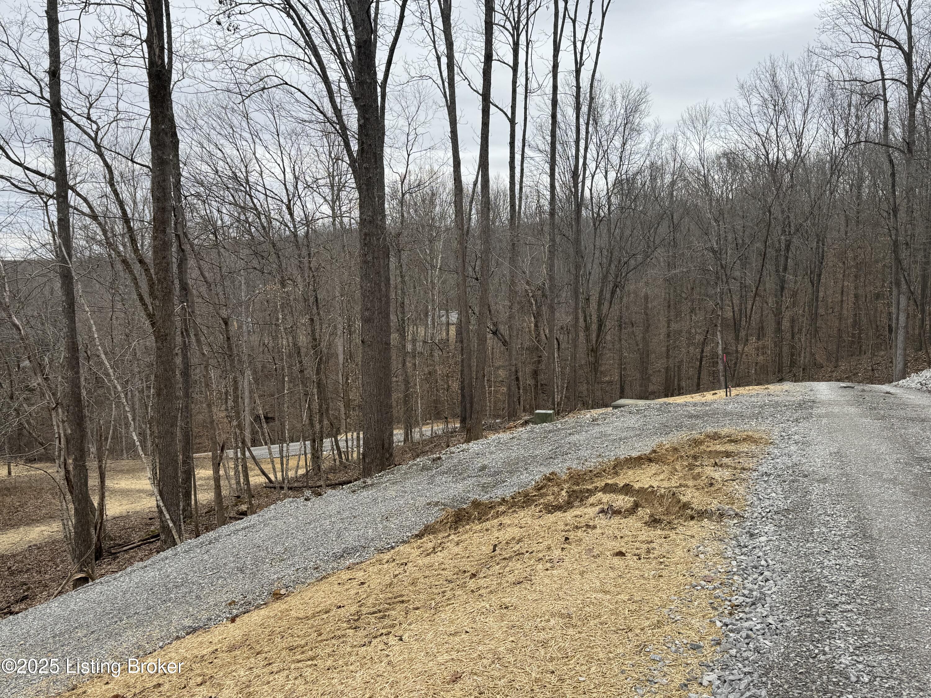105 Conoloway Bay Dr, Clarkson, Kentucky image 9
