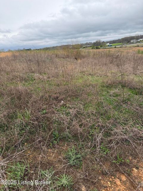 Vacant Land For Sale - 121 Diamond Ct<br/> Vine Grove, KY 40175
