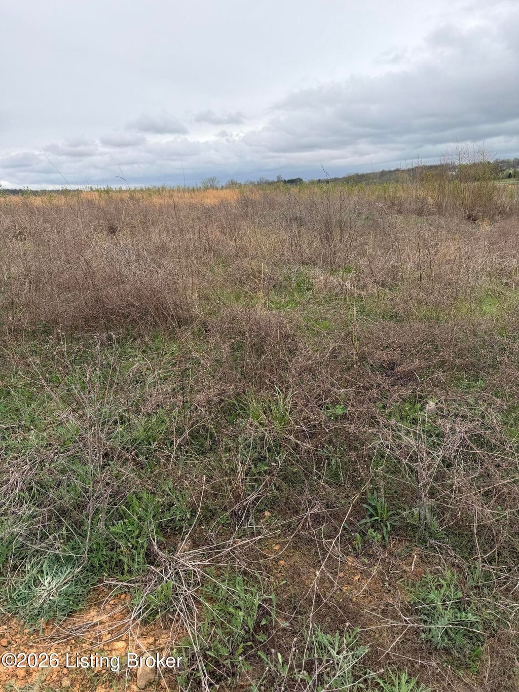 Photo of 121 Diamond Ct, Vine Grove, KY 40175 (MLS # 1712722)