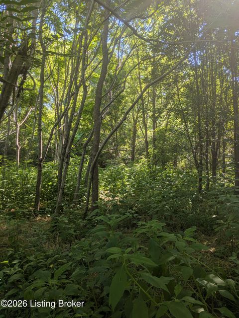 Vacant Land For Sale - 350 Sunview Ct<br/> Shepherdsville, KY 40165