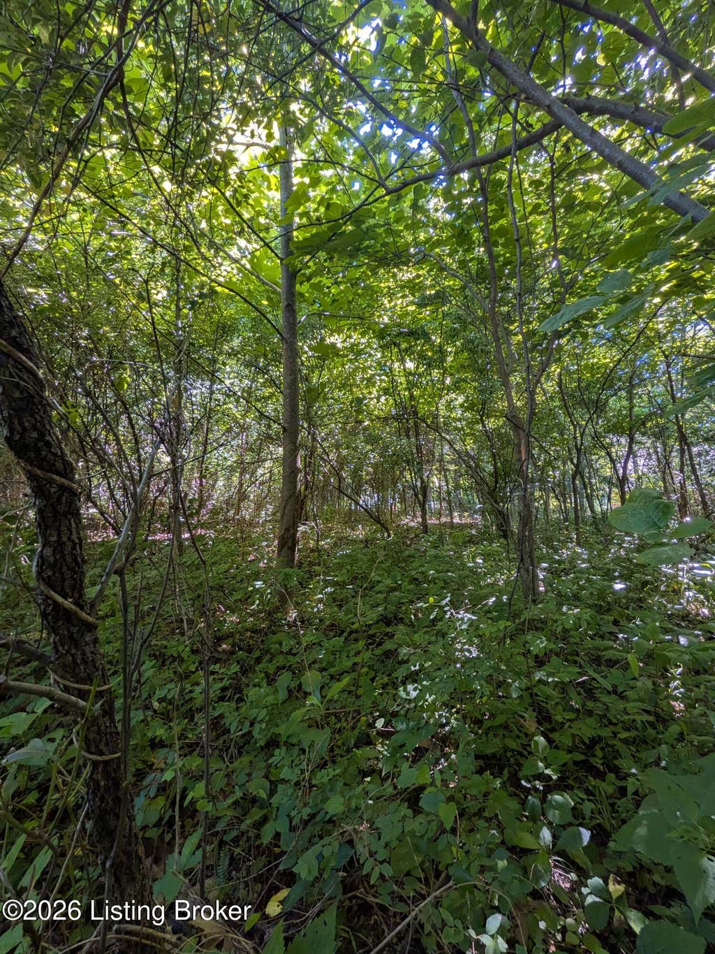 Photo of 350 Sunview Ct, Shepherdsville, KY 40165 (MLS # 1721399)