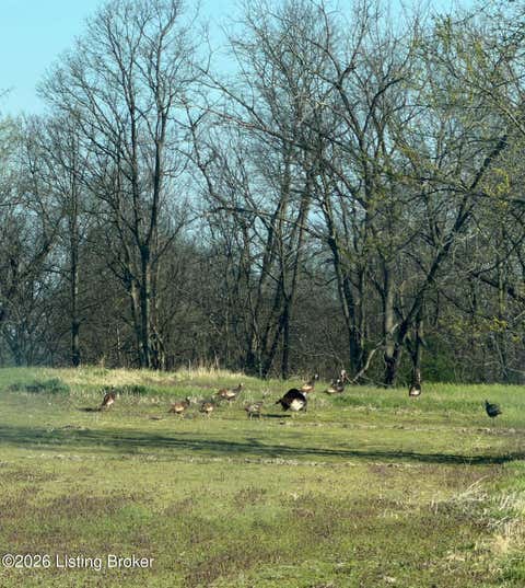 Vacant Land For Sale - 3 Cemetery Hill Rd<br/> Bethlehem, KY 40007
