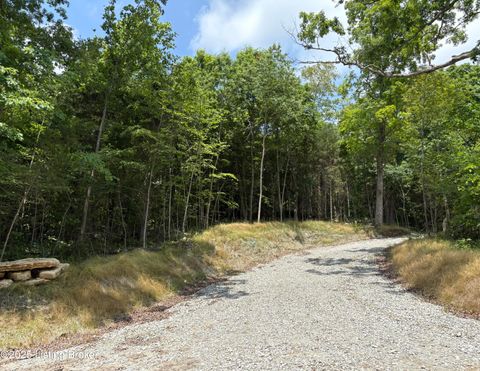 Vacant Land For Sale - 6405 New Cut Rd #TRACT 2<br/> Crestwood, KY 40014