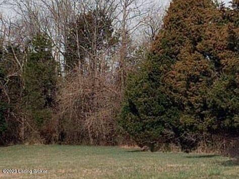 642-646 Hobbs Ln, Fisherville, Kentucky image 4