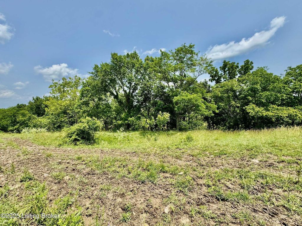 Photo of 3800 Baker Ridge Rd, Willisburg, KY 40078 (MLS # 1705104)