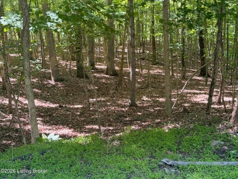 Vacant Land For Sale - LOT 569 Raspberry Ct<br/> Brandenburg, KY 40108
