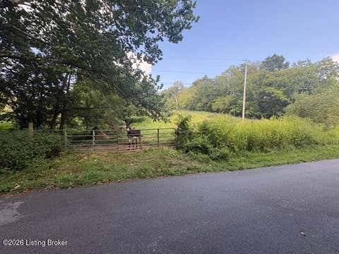 Vacant Land For Sale - 1390 Timber Creek Rd<br/> Bloomfield, KY 40008
