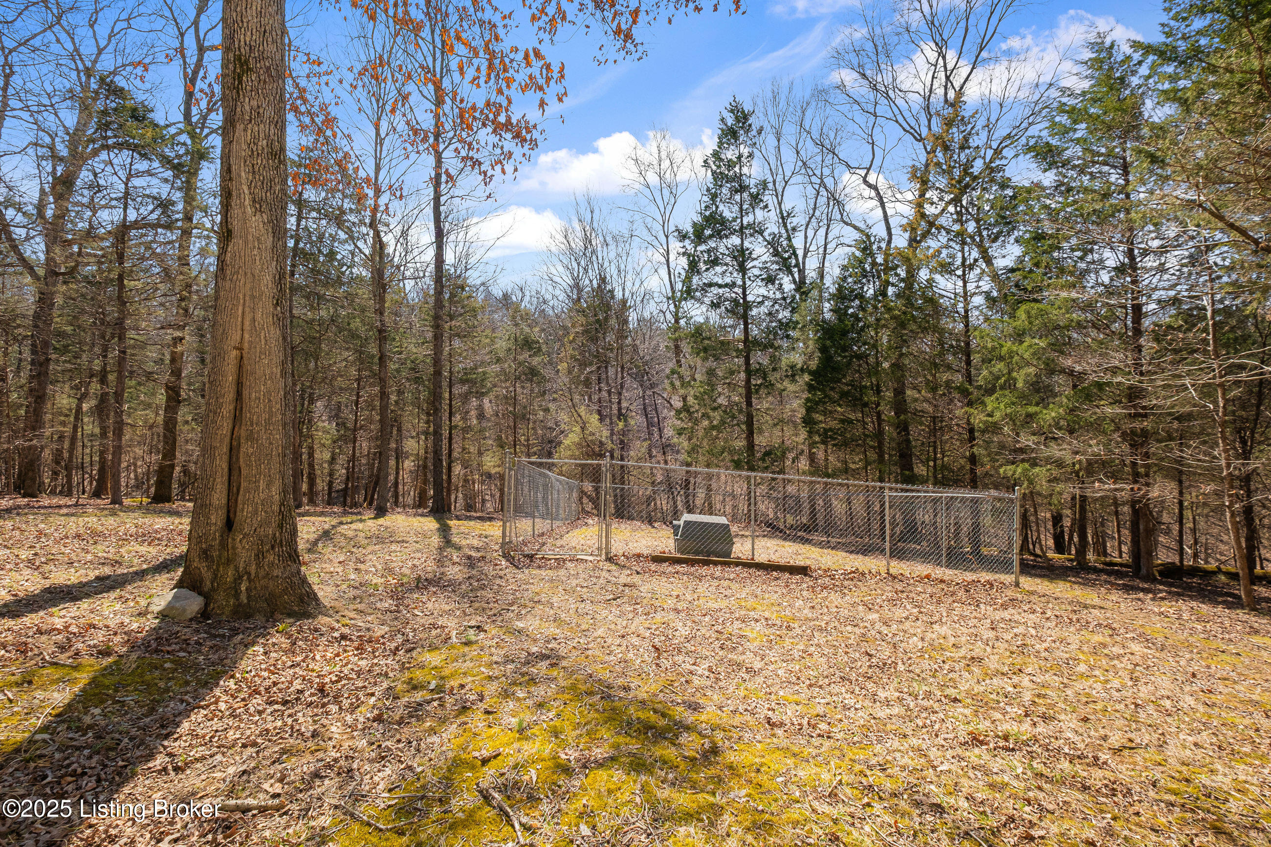 794 Long Needle Rd, Brandenburg, Kentucky image 25