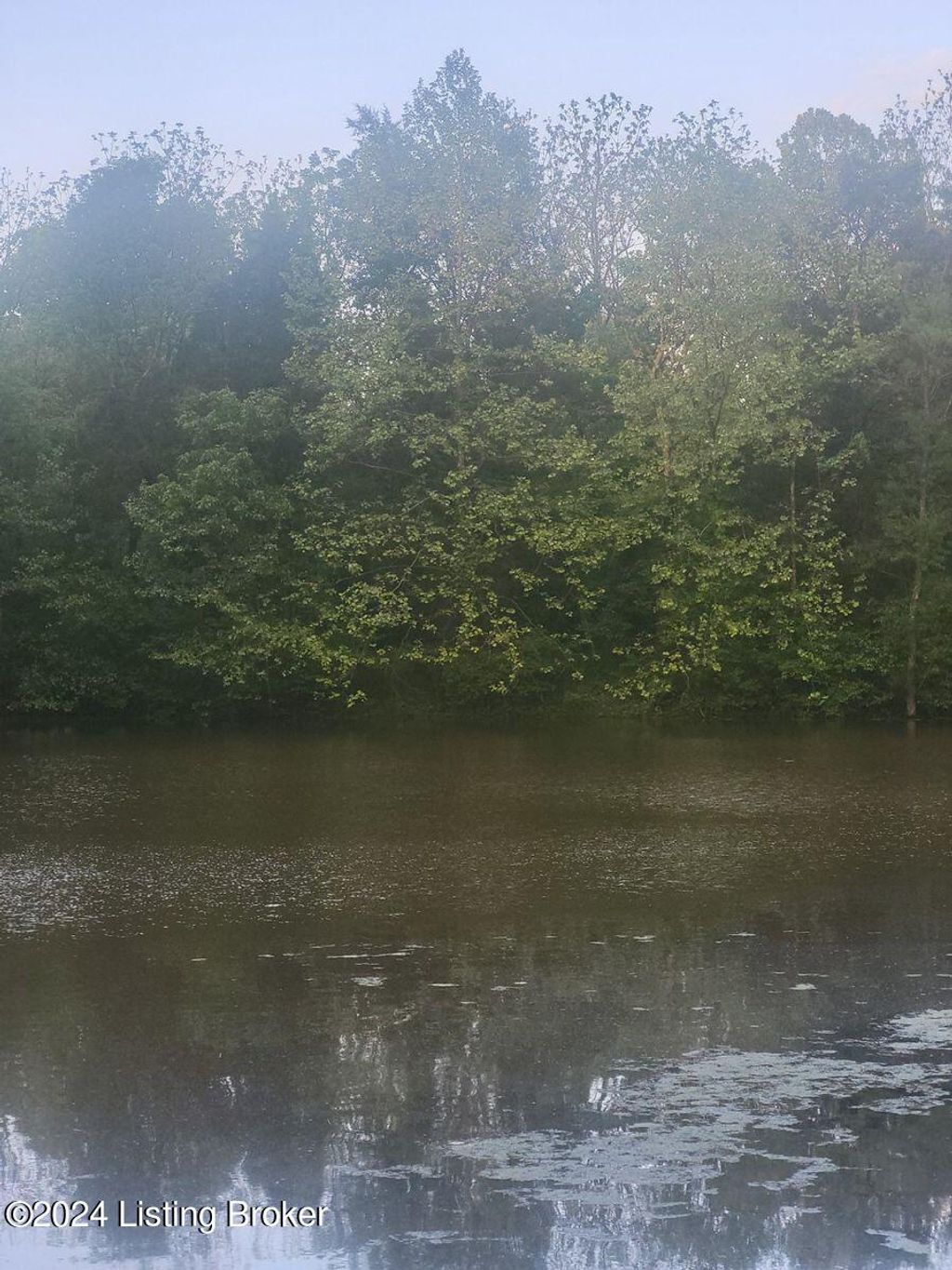 Photo of 4901 Taylorsville Lake Rd, Fisherville, KY 40023 (MLS # 1705873)