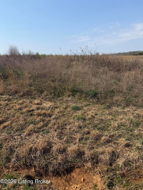 Vacant Land For Sale - 145 Diamond Ct<br/> Vine Grove, KY 40175