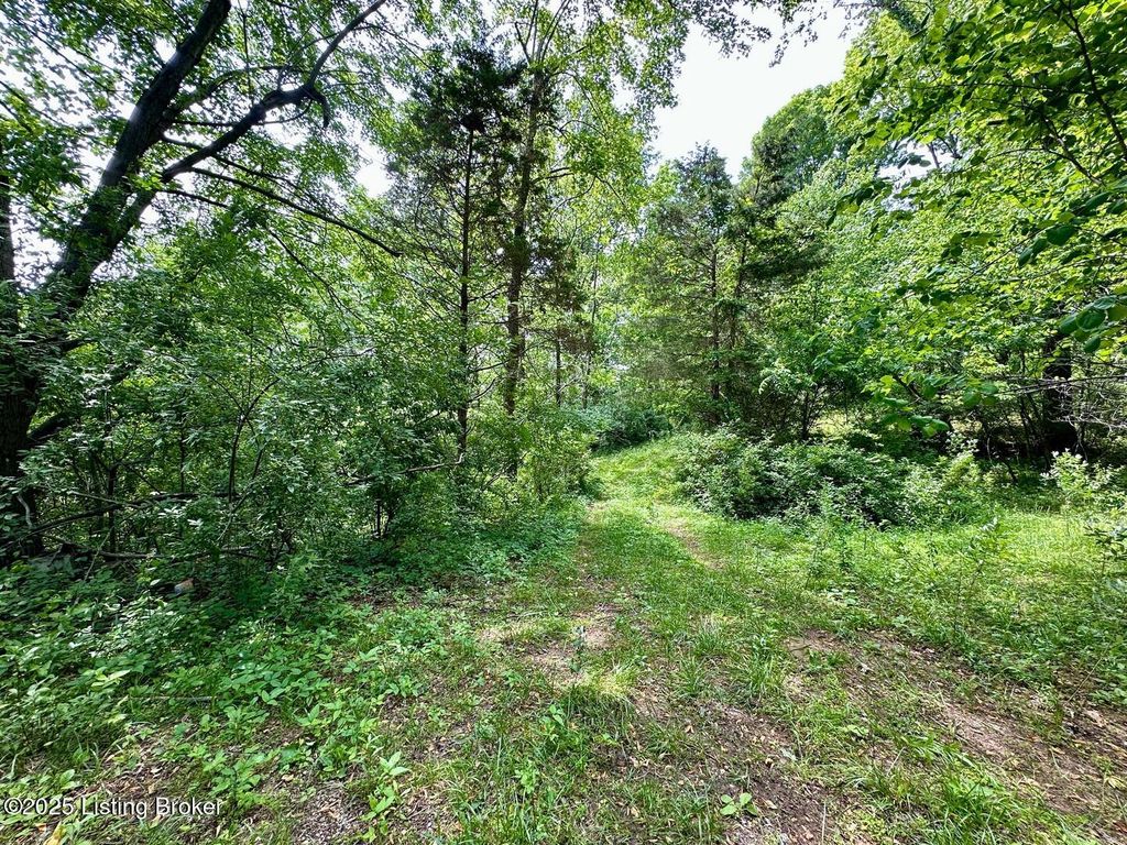 Photo of 1371 Sunbeam Rd, Leitchfield, KY 42754 (MLS # 1706657)