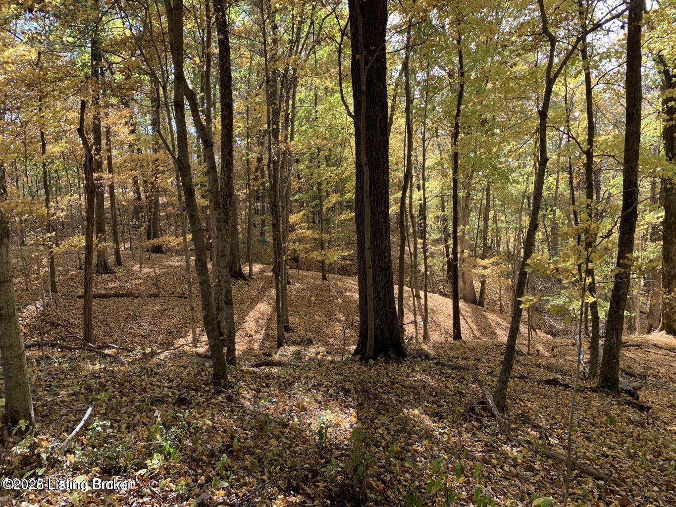 Tract#18 Tucker Ln, Springfield, Kentucky image 3