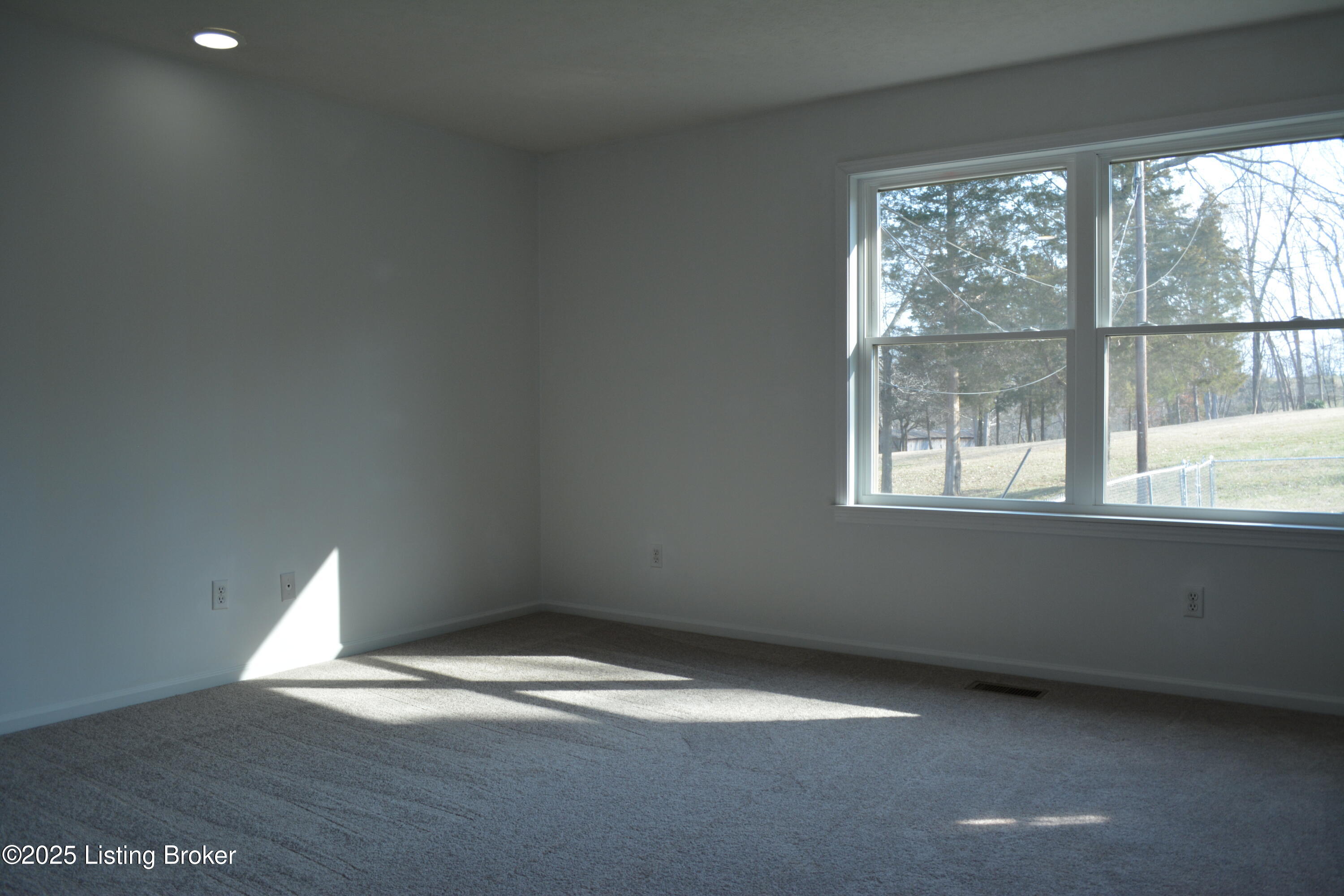185 Locust Ln, Bedford, Kentucky image 19
