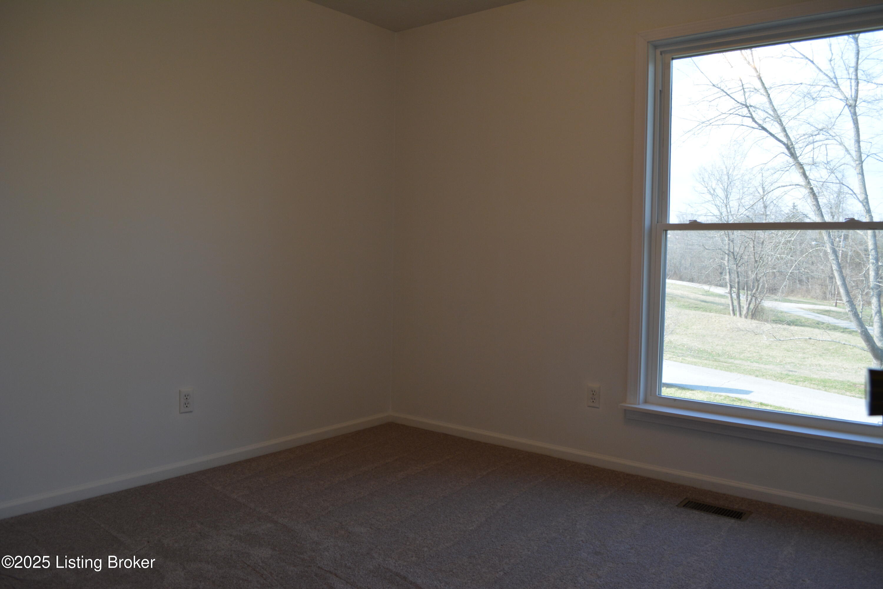 185 Locust Ln, Bedford, Kentucky image 23