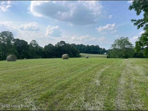 Vacant Land For Sale - 2 Mount Pleasant Rd<br/> Bedford, KY 40006